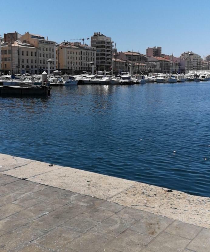 L'Appart Du Vieux Port Apartman Marseille Kültér fotó